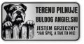 Uwaga pies tabliczka ostrzegawcza 20x10 Buldog Angielski