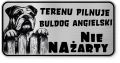 Uwaga pies tabliczka ostrzegawcza 20x10 Buldog Angielski