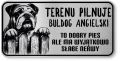 Uwaga pies tabliczka ostrzegawcza 20x10 Buldog Angielski