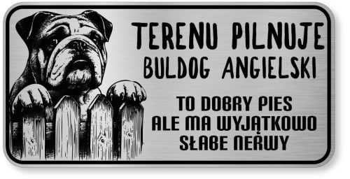 Uwaga pies tabliczka ostrzegawcza 20x10 Buldog Angielski