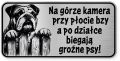 Uwaga pies tabliczka ostrzegawcza 20x10 Buldog Angielski