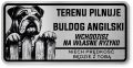 Uwaga pies tabliczka ostrzegawcza 20x10 Buldog Angielski