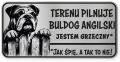Uwaga pies tabliczka ostrzegawcza 20x10 Buldog Angielski