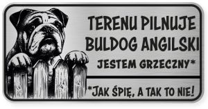 Uwaga pies tabliczka ostrzegawcza 20x10 Buldog Angielski