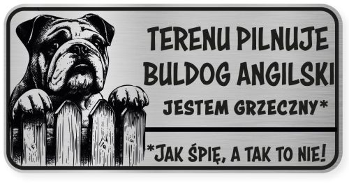 Uwaga pies tabliczka ostrzegawcza 20x10 Buldog Angielski