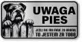 Uwaga pies tabliczka ostrzegawcza 20x10 Buldog Angielski