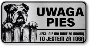 Uwaga pies tabliczka ostrzegawcza 20x10 Buldog Angielski