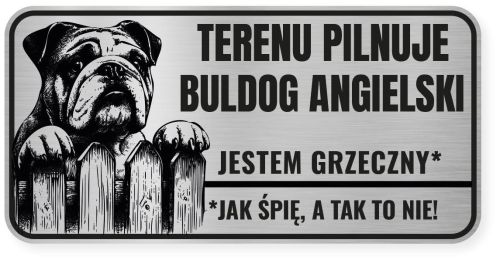 Uwaga pies tabliczka ostrzegawcza 20x10 Buldog Angielski