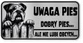 Uwaga pies tabliczka ostrzegawcza 20x10 Buldog Angielski