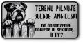 Uwaga pies tabliczka ostrzegawcza 20x10 Buldog Angielski
