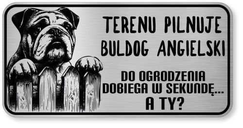 Uwaga pies tabliczka ostrzegawcza 20x10 Buldog Angielski