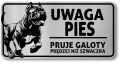 Tabliczka Uwaga pies Cane Corso 20x10