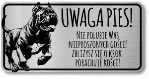 Tabliczka Uwaga pies Cane Corso 20x10