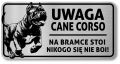 Tabliczka Uwaga pies Cane Corso 20x10