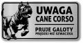 Tabliczka Uwaga pies Cane Corso 20x10
