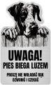 Tabliczka Uwaga pies Dog NIemiecki 25x15