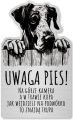 Tabliczka Uwaga pies Dog NIemiecki 25x15