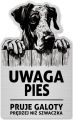 Tabliczka Uwaga pies Dog NIemiecki 25x15