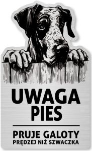 Tabliczka Uwaga pies Dog NIemiecki 25x15