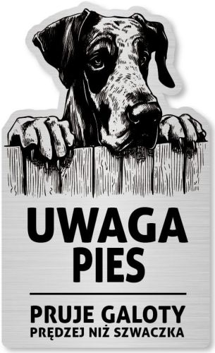 Tabliczka Uwaga pies Dog NIemiecki 25x15