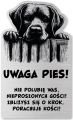 Tabliczka Uwaga pies Labrador 25x15