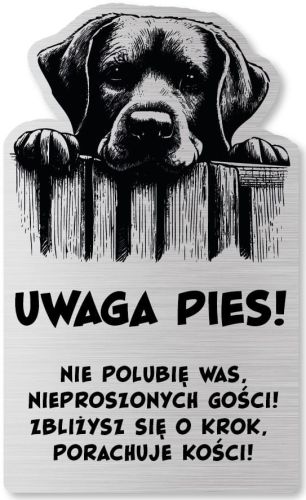 Tabliczka Uwaga pies Labrador 25x15