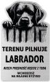 Tabliczka Uwaga pies Labrador 25x15