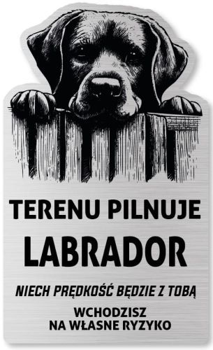 Tabliczka Uwaga pies Labrador 25x15