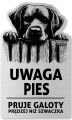 Tabliczka Uwaga pies Labrador 25x15