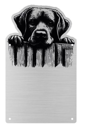 Tabliczka Uwaga pies Labrador 25x15