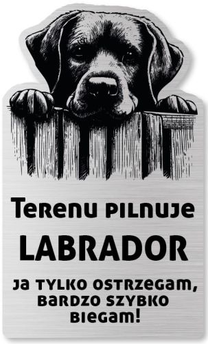Tabliczka Uwaga pies Labrador 25x15