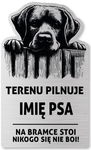 Tabliczka Uwaga pies Labrador 25x15