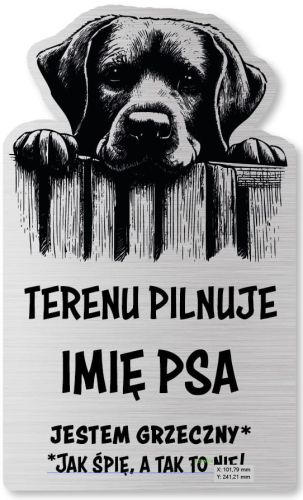 Tabliczka Uwaga pies Labrador 25x15