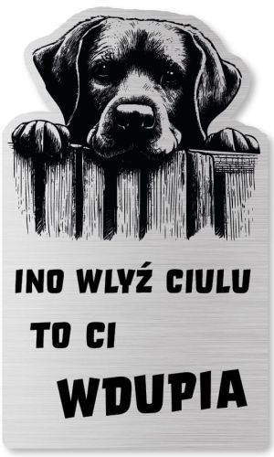 Tabliczka Uwaga pies Labrador 25x15