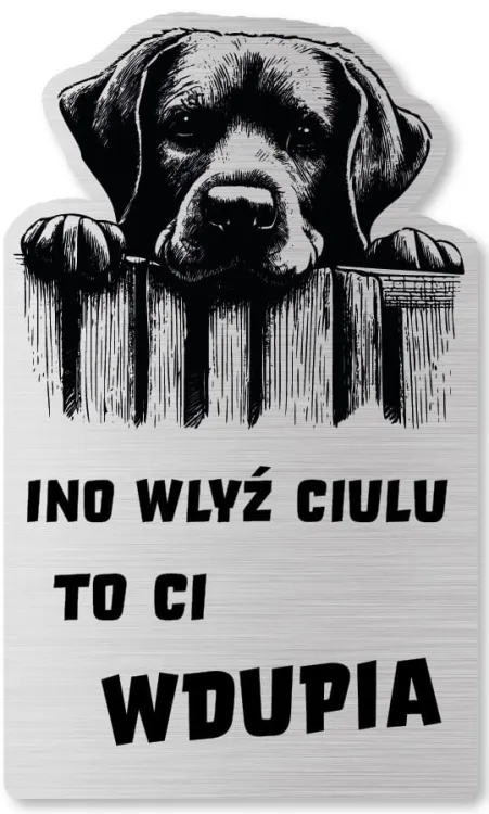Tabliczka Uwaga pies Labrador 25x15
