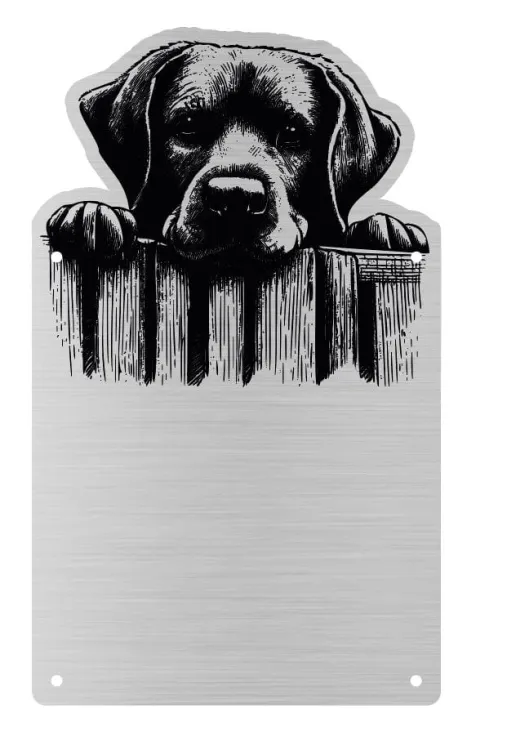 Tabliczka Uwaga pies Labrador 25x15
