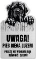 Tabliczka Uwaga pies Cane Corso 25x15