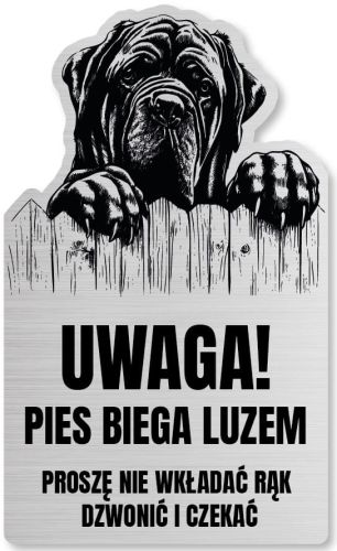 Tabliczka Uwaga pies Cane Corso 25x15