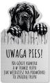 Tabliczka Uwaga pies Cane Corso 25x15