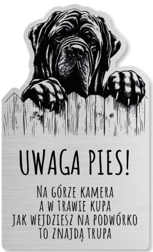 Tabliczka Uwaga pies Cane Corso 25x15