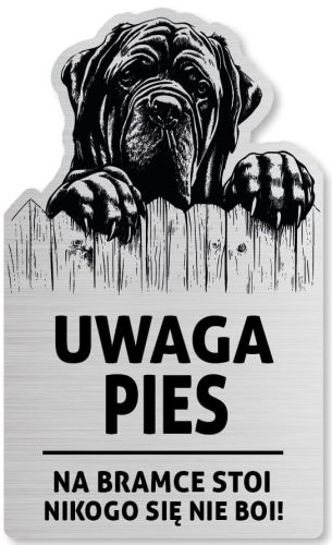 Tabliczka Uwaga pies Cane Corso 25x15