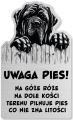 Tabliczka Uwaga pies Cane Corso 25x15