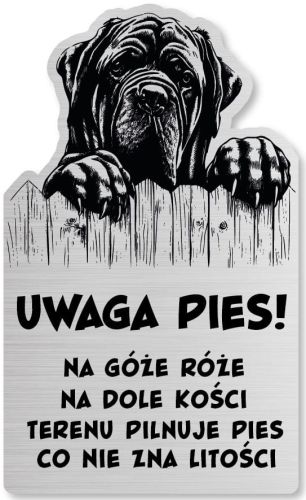 Tabliczka Uwaga pies Cane Corso 25x15