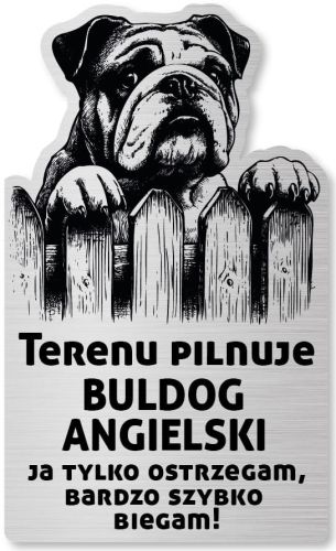 Tabliczka Uwaga pies Buldog Angielski 25x15