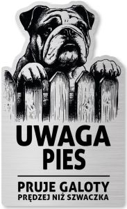 Tabliczka Uwaga pies Buldog Angielski 25x15