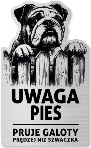 Tabliczka Uwaga pies Buldog Angielski 25x15