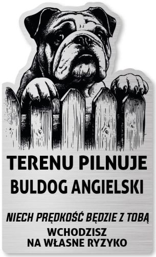 Tabliczka Uwaga pies Buldog Angielski 25x15