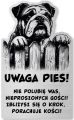 Tabliczka Uwaga pies Buldog Angielski 25x15