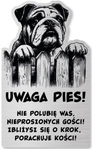 Tabliczka Uwaga pies Buldog Angielski 25x15