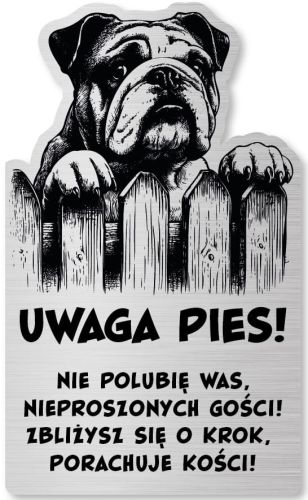 Tabliczka Uwaga pies Buldog Angielski 25x15